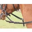 Shires Flexi Rein in Black
